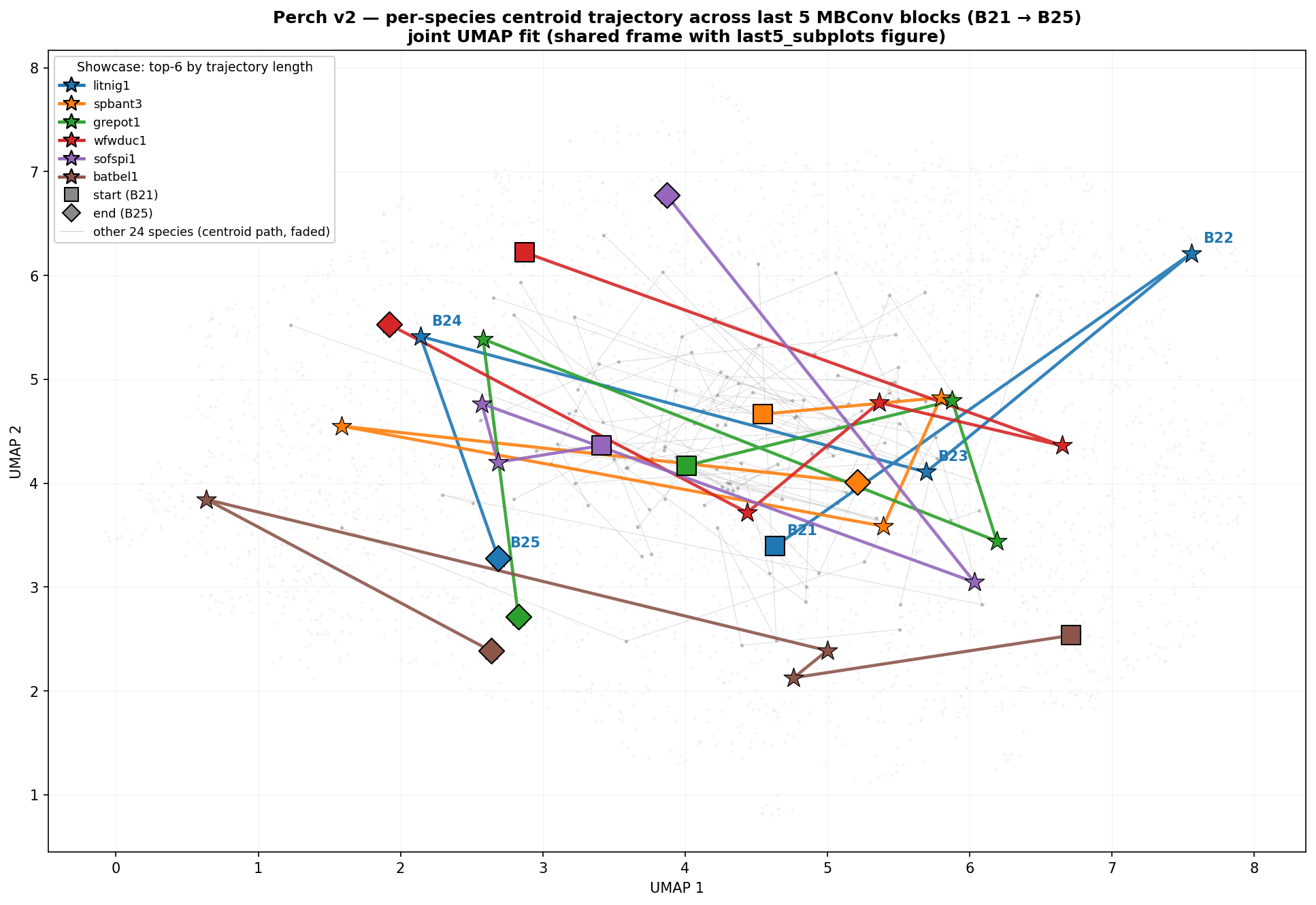 Per-species trajectory through B21βB25 β block 24 clusters tightest
