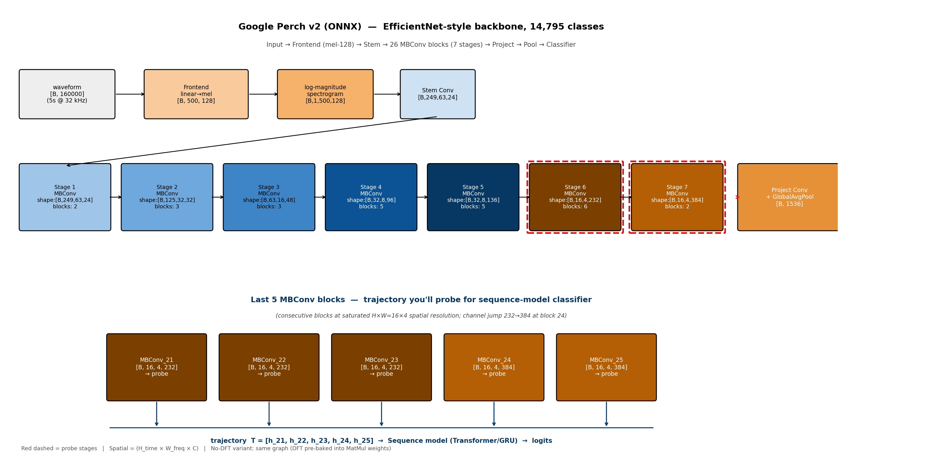 Perch v2 architecture β 26 MBConv blocks, recovered from the ONNX graph